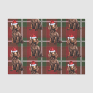 Red Plaid Boykin Spaniel Dog Lover Holiday Tissue Paper