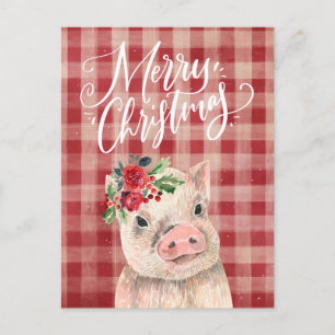 Red Plaid Christmas Pig Holiday Postcard