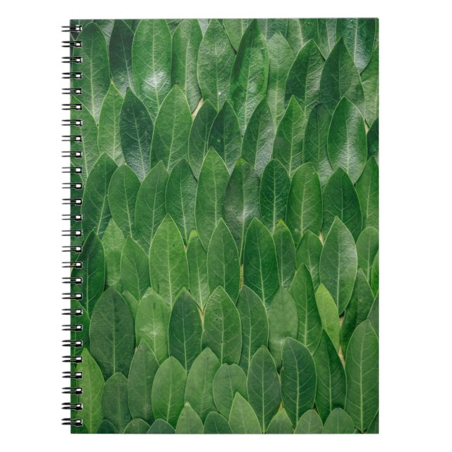 Red plant leaves notebook (Front)