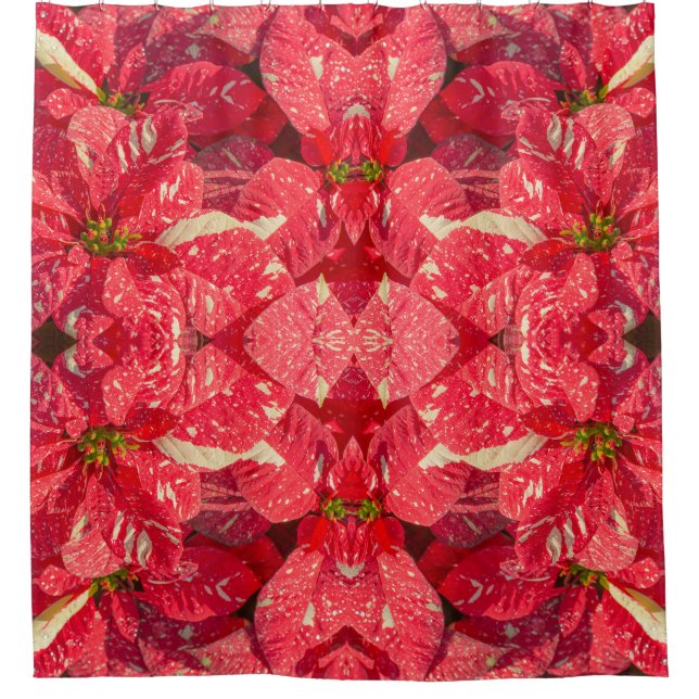 Red plant Poinsettia Flower (Front)