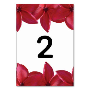Red Plumeria Frangipani Wedding Table Number