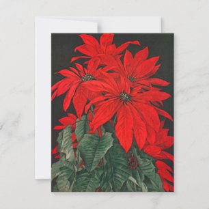 RED POINSETTIA BOUQUET HOLIDAY PARTY INVITATIONS