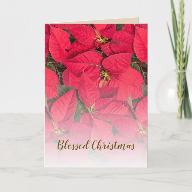 Red Poinsettia Christmas Flower Holiday Card (Front)