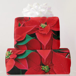 Red Poinsettia Christmas Gift Wrapping Paper