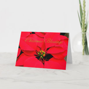 Red Poinsettia Christmas Holiday Card