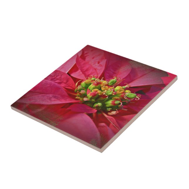 Red Poinsettia - Christmas Tile (Side)