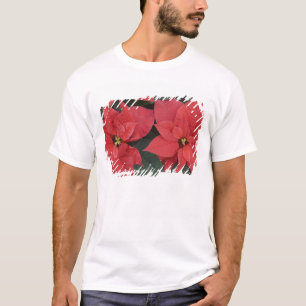 Red Poinsettia Detail (Euphorbia pulcherrima) T-Shirt