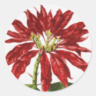 Red Poinsettia Envelope Seal