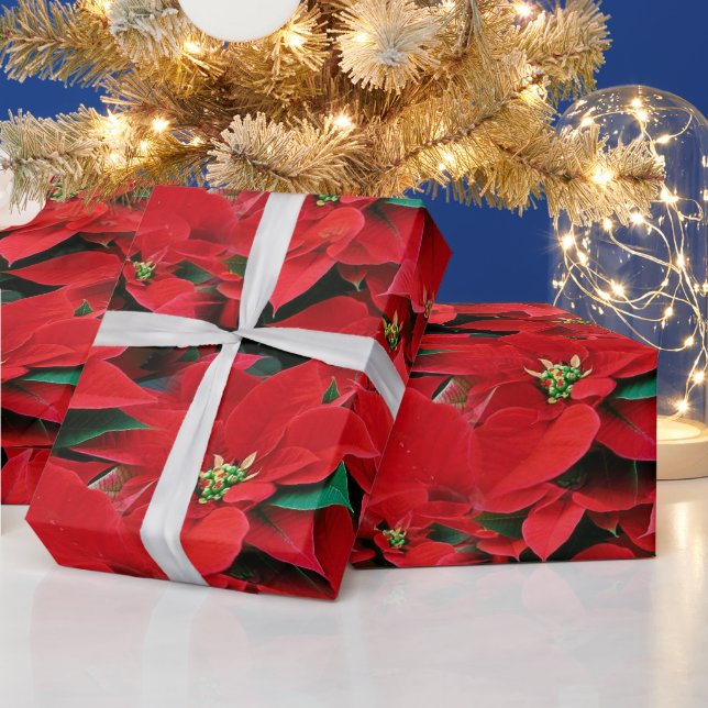 Red Poinsettia Holiday Wrapping Paper (Holidays)
