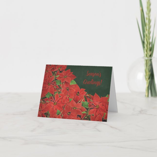 Red Poinsettia Season's Greetings Card (Front)