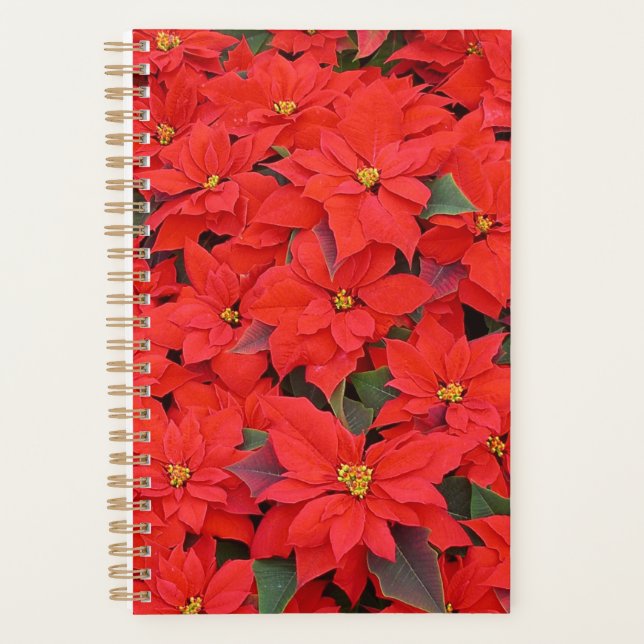Red Poinsettias I Christmas Holiday Floral Photo (Devant)