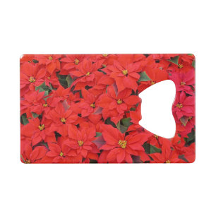 Red Poinsettias I Christmas Holiday Floral Photo