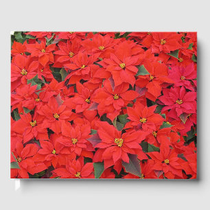 Red Poinsettias I Christmas Holiday Floral Photo Guest Book