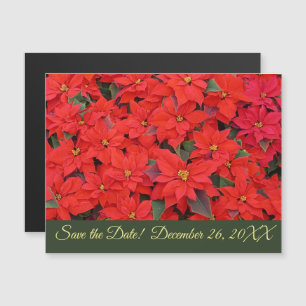 Red Poinsettias I Christmas Holiday Save the Date Magnetic Invitation