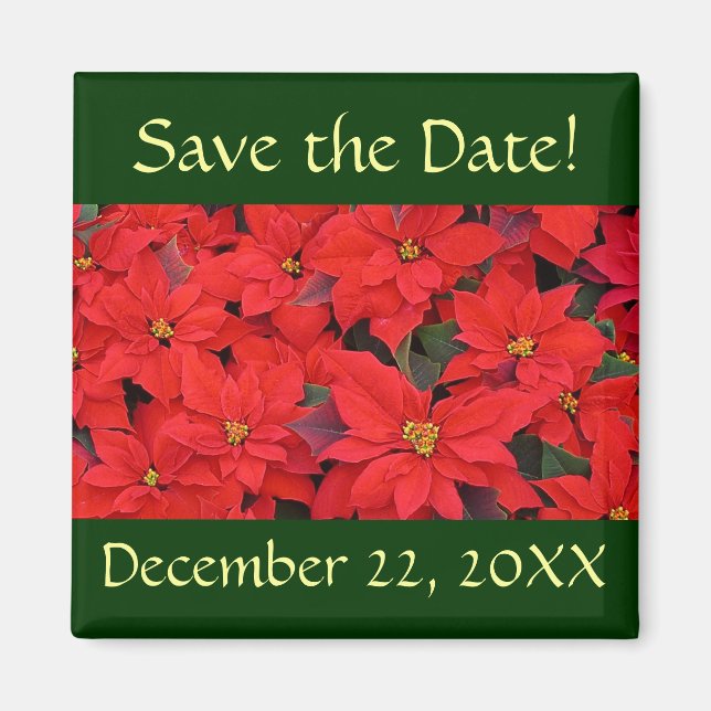 Red Poinsettias I Save the Date Magnet (Front)