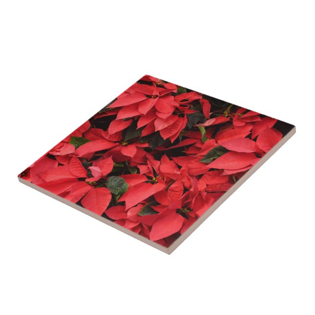 Red Poinsettias II Christmas Holiday Floral Tile (Side)
