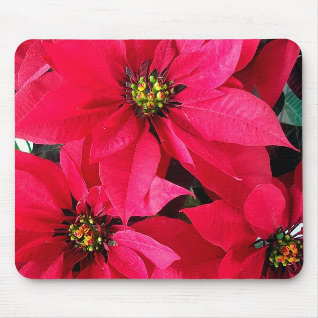 Red Poinsettias Mouse Pad (Front)