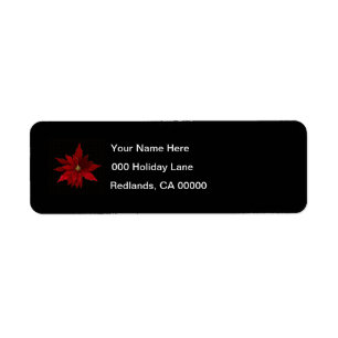 Red Poinsettias on Black