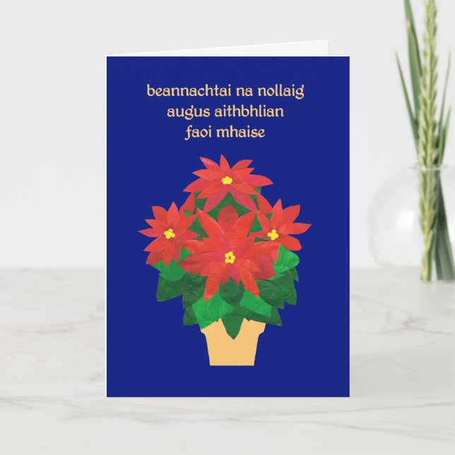 Red Poinsettias on Blue Irish Language Greeting Holiday Card (Front)