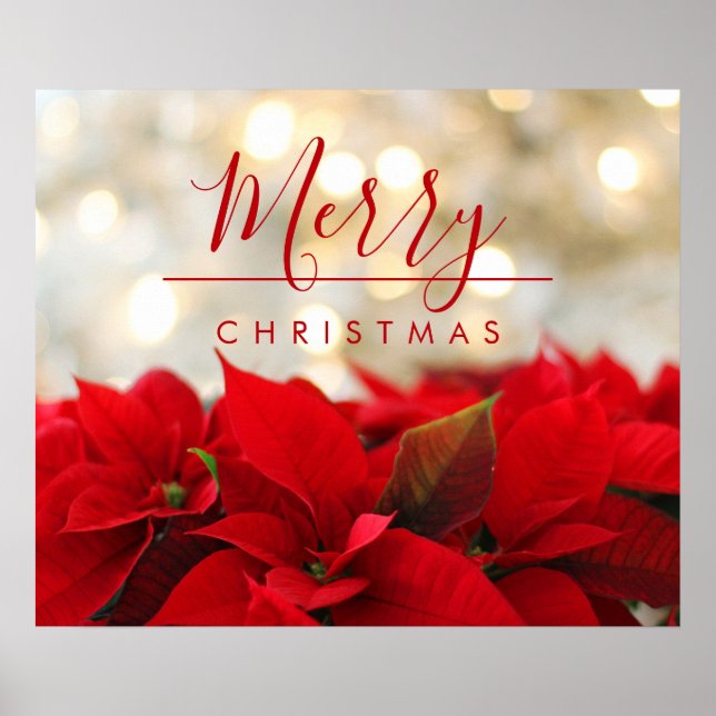 Red Poinsettias with Golden Bokeh Christmas Poster (Front)