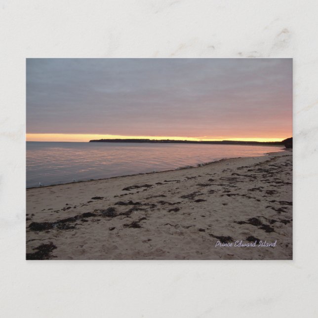 Red Point, PEI postcard (Front)