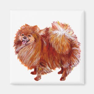 Red Pomeranian Magnet