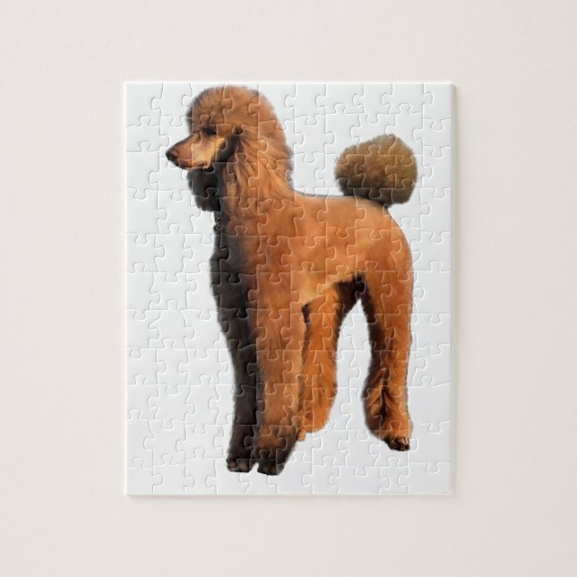 red poodle jigsaw puzzle (Vertical)