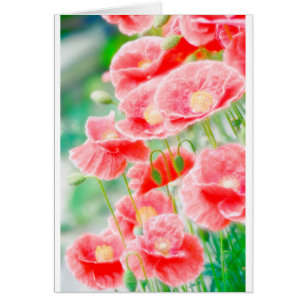 Red Poppies