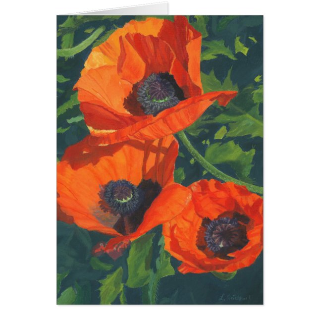 Red Poppies (Front)