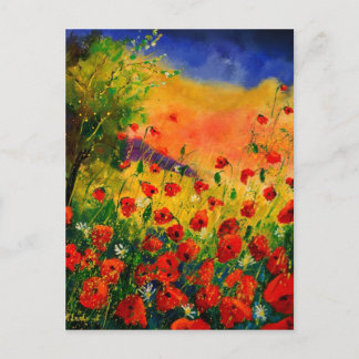 red poppies 45 postcard