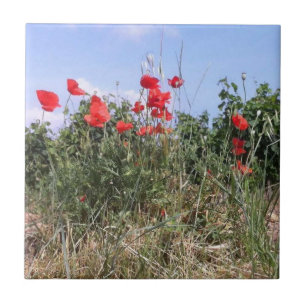 Red Poppies and Vines Tile