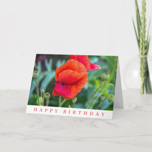 Red poppies birthday card