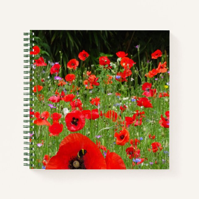Red Poppies Field Notebook (Front)