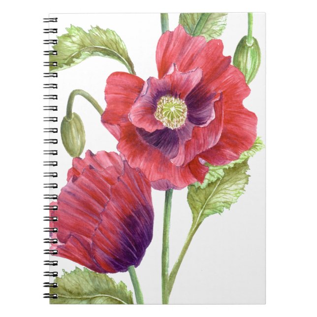 Red Poppies Floral Art Notebook (Front)
