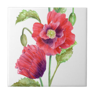 Red Poppies Floral Art Tile
