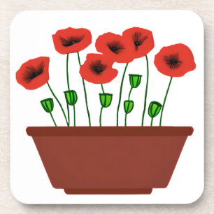 Red Poppies in a Terracotta Planter  Coaster