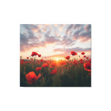 Red Poppies in Meadow at Dramatic Sunset Realism