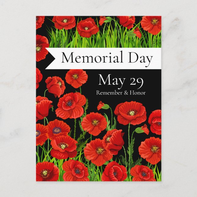 Red Poppies Memorial Day Postcard (Front)