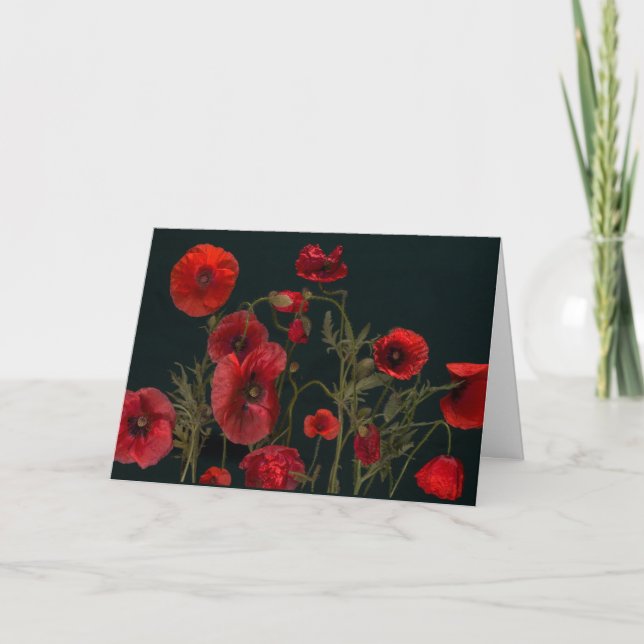 Red Poppies On Black Card (Front)