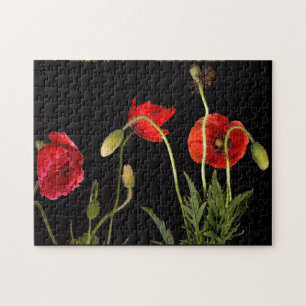 Red Poppies On Black Jigsaw Puzzle