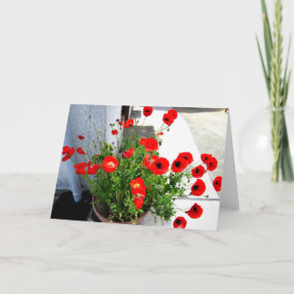 Red Poppies photo greeting card