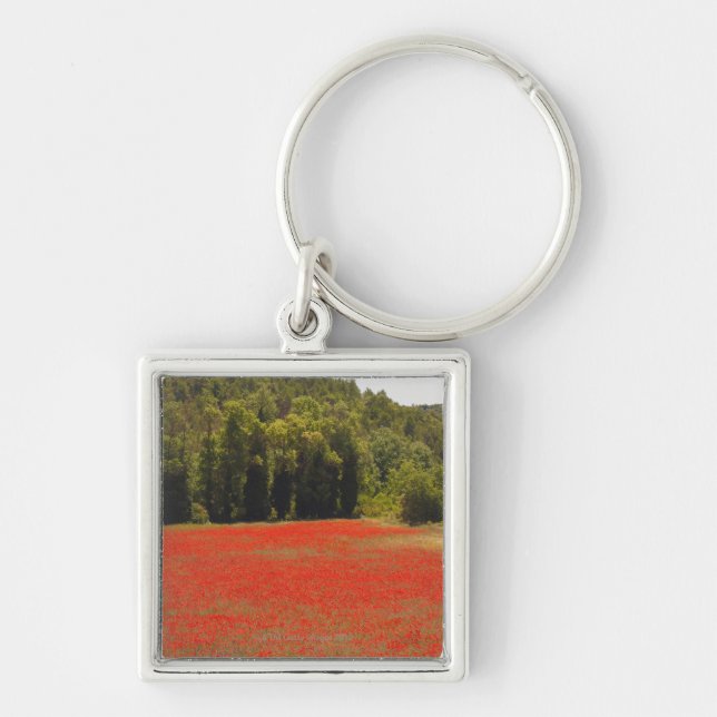 Red poppies spring Provence France Keychain (Front)