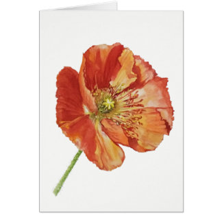 Red Poppy (5" x 7"), envelopes included