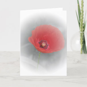 Red Poppy Card