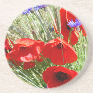 Red Poppy, Cottage Garden  photo Coaster