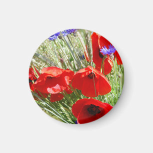 Red Poppy, Cottage Garden  photo Magnet