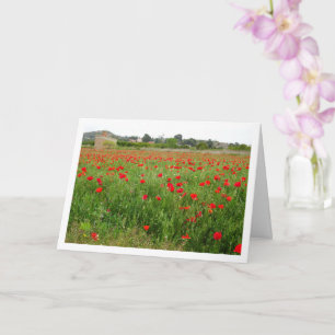 Red Poppy Country Landscape Card