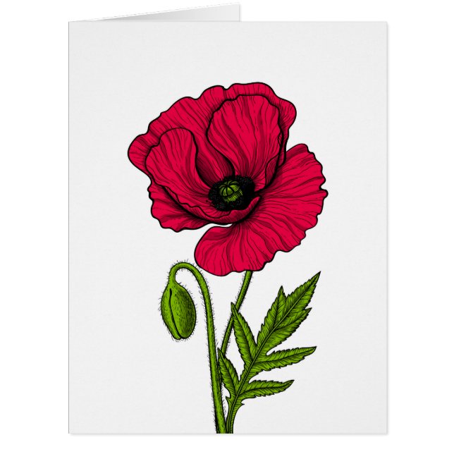 Red poppy drawing (Front)