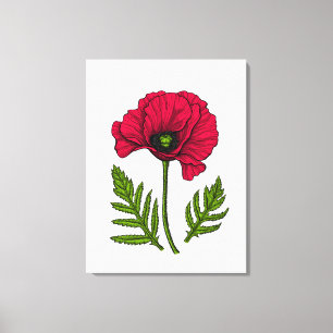 Red poppy drawing 3 canvas print