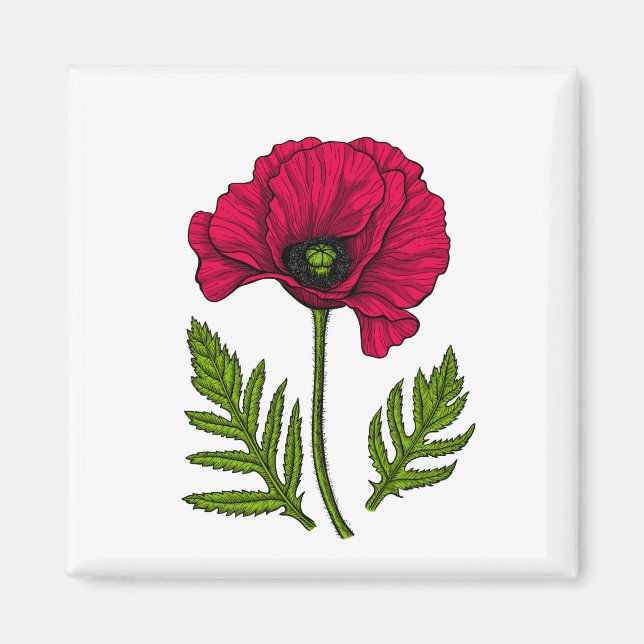 Red poppy drawing 3 magnet (Front)